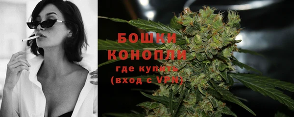 наркотики Бородино
