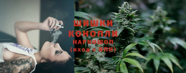 ГАЛЛЮЦИНОГЕННЫЕ ГРИБЫ Бугульма