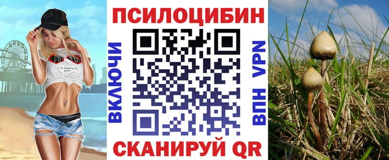 Галлюциногенные грибы прущие грибы  Новохопёрск 